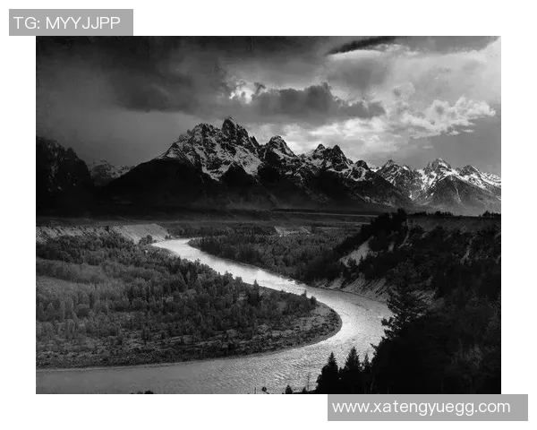 亚当斯的传奇人生与影响力探讨：从个人成就到社会变革的深远意义